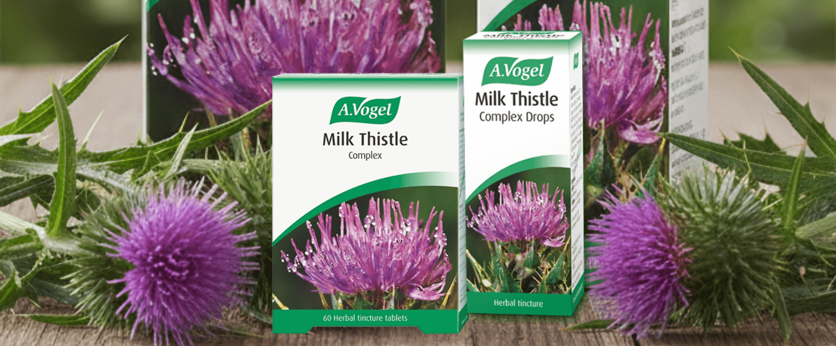 Η σημασία της αποτοξίνωσης του οργανισμού μετά τις καλοκαιρινές διακοπές: tips διατροφής και lifestyle